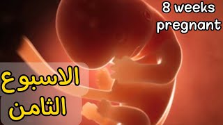 اهم تطورات الام والجنين في الاسبوع الثامن من الحمل 🚫🚫واهم النصائح..8 weeks pregnant