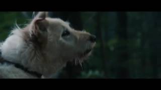 #ItComesatNight | Оно приходит ночью 2017 #ItComesatNight | Оно приходит ночью 2017