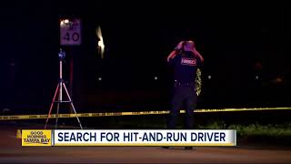 Police look for driver that hit a bicyclist in St. Petersburg