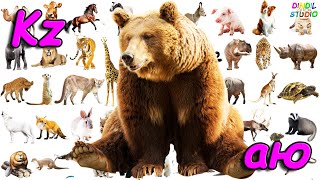 Жануарлар Туралы Үлкен Жинақ Животные A Collection Of Animals