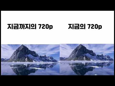 해외밈모음 #1