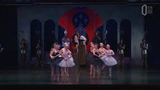 Bluebird and Princess Florine - act 3 (2/3) - defilé &amp; fairies divertissment