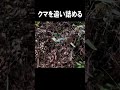 柿食いグマを追い詰める!