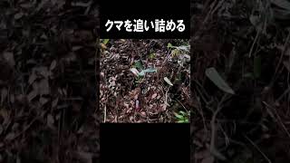 柿食いグマを追い詰める!