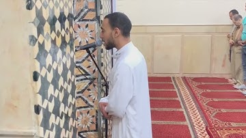 سورة التغابن والطلاق والتحريم  - الشيخ مصطفى أسامة
