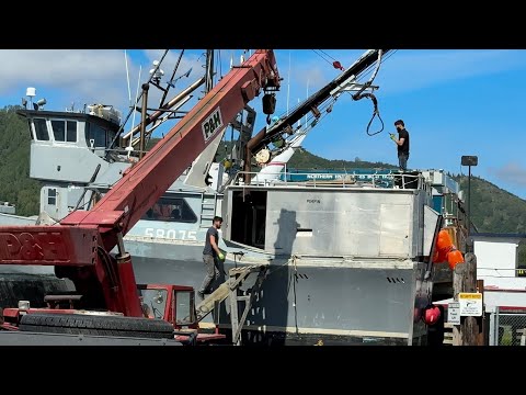 Behind-the-Scenes of Homer, AK / June 11