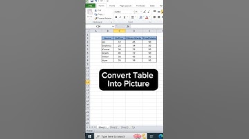Excel Table Convert Into Picture | TrickoWorld