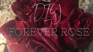 DIY Forever Roses | Cheap dupe | Wax Dipped Roses | KIMBLE