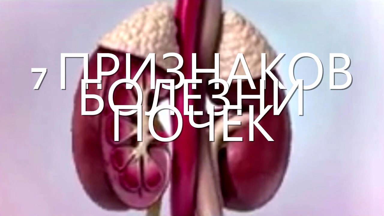 7 ПРИЗНАКОВ БОЛЕЗНИ ПОЧЕК