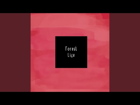 Floorboards - McCafferty