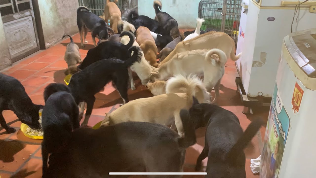 Em cảm ơn chị Vĩnh Phúc đã cho gia đình em 2 triệu, em cảm ơn chị rất nhiều!