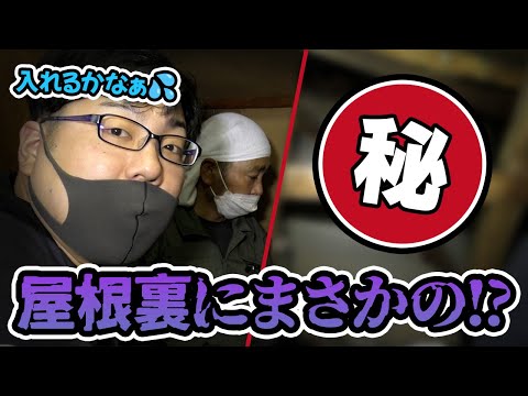 ネズミ駆除歴10年以上の有資格者多数在籍【事前見積り無料】【事前調査可能】