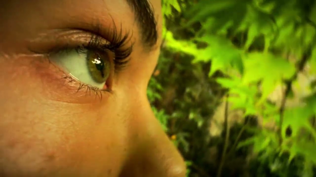 Robert Pospiš & Martin Sillay - Za oknami sa už stmieva