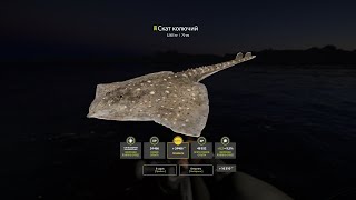 Фарм в последнем туре на море и тест топовой джиговой палочки Segun Vexilar.