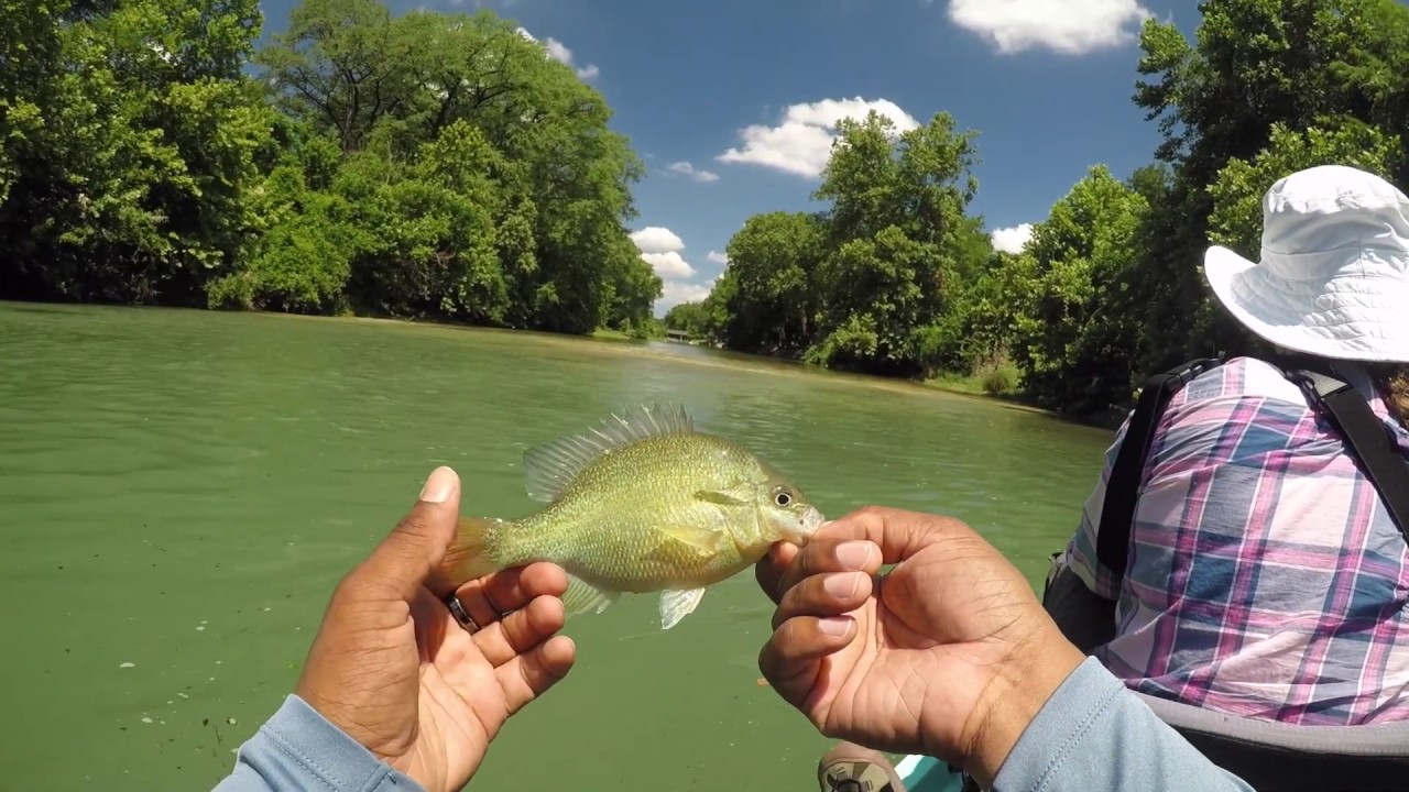 Mixed Bag on the Guadalupe Kayak Fishing Weekend Fishing 😫 YouTube