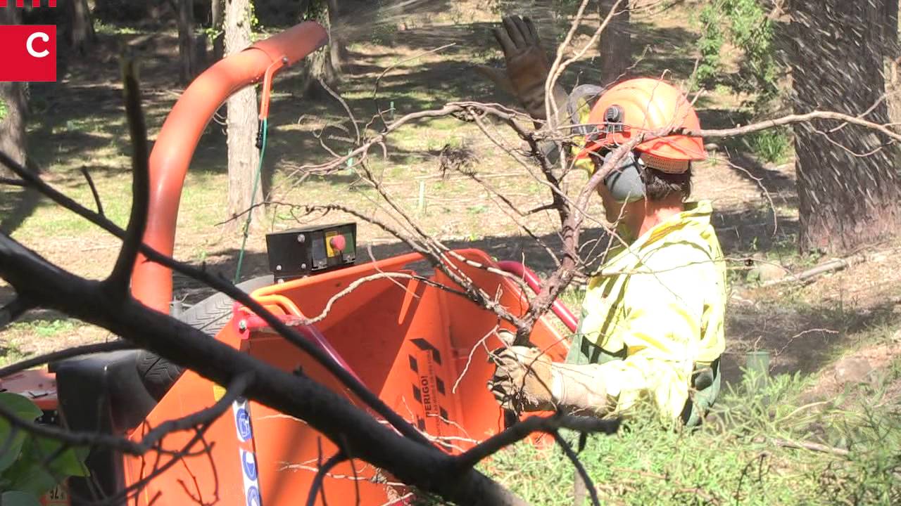Sapadores Florestais de Cascais