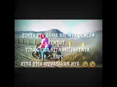 story wa lucu YouTube story wa lucu YouTube