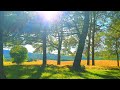 Relaxing Nature Meditation рџЊі Calming SUMMER Ambience рџЊі Healing FOREST Sounds On A Lovely Sunny Day Relaxing Nature Meditation рџЊі Calming SUMMER Ambience рџЊі Healing FOREST Sounds On A Lovely Sunny Day