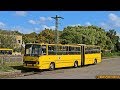 2017.07.27. - Buszok a nyíregyházi autóbusz-állomáson