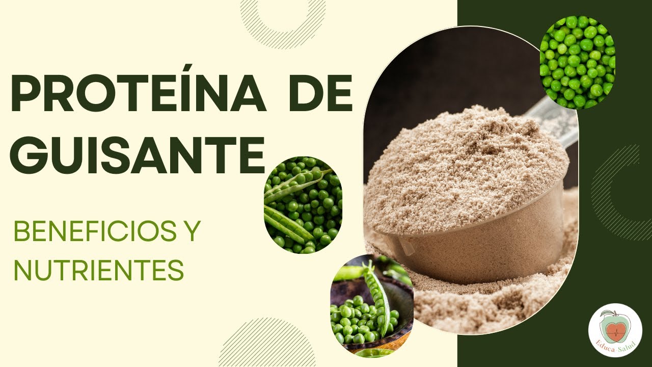 Suplementos de PROTEÍNA DE GUISANTE: Beneficios, Cómo tomarla