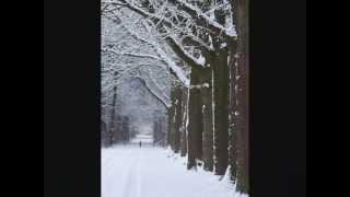 3 Jan 2010 Kasteelse Bossen