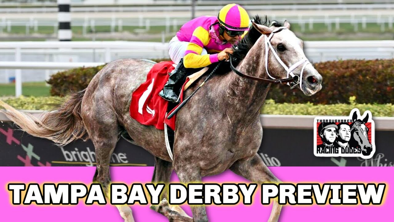 2023 Tampa Bay Derby Preview & FREE Picks Time For TAPIT TRICE To