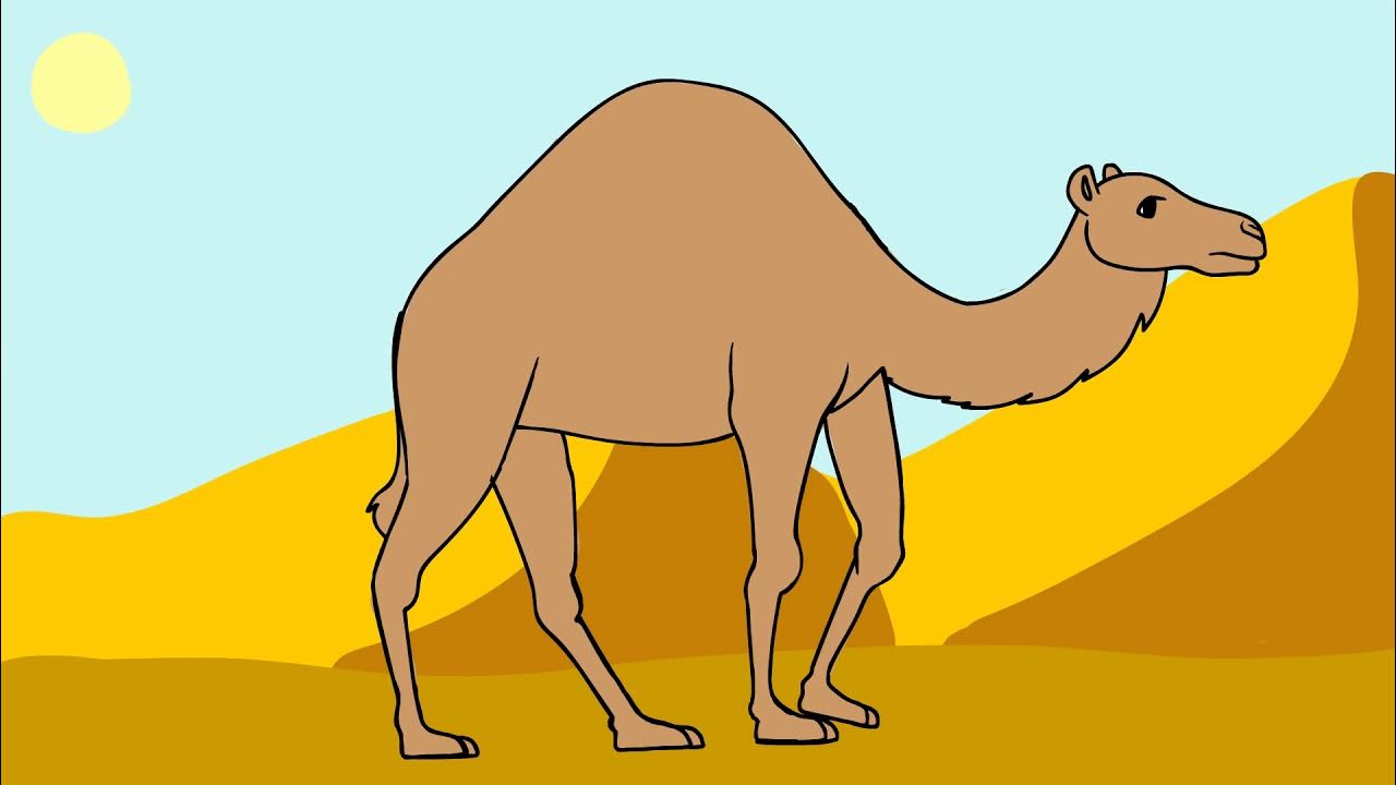 Camel Walk Cycle Final YouTube