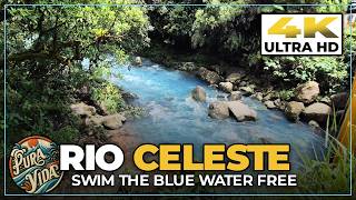 [4K] Tour RIO CELESTE, Costa Rica 🏞 Swim In Incredible Blue Water #travel #vlog