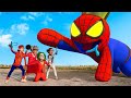 What If ALL COLOR SPIDER-MAN In 1 House? Hey All SuperHero, Scary Teacher 3D VS Rainbow Friends