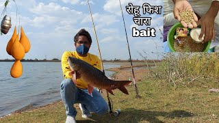 100   Fish Hunting Big Rohu Fishes Katla Fishing 