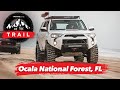 Off-Road Ocala National Forest Trails | On The Trail