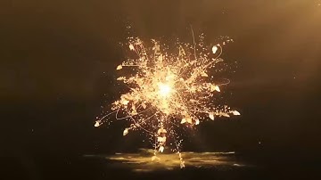 intro bươm bướm vàng 🌼