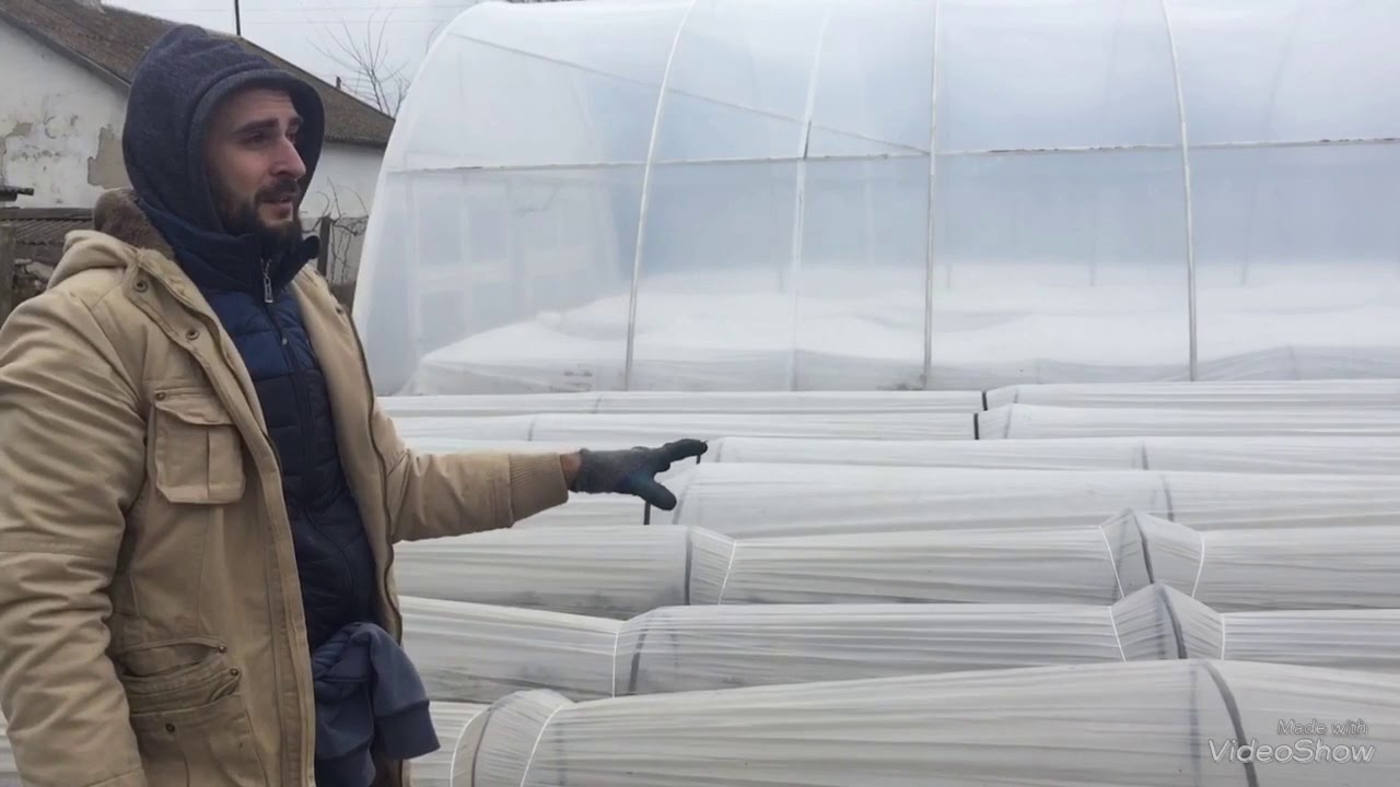 Выращивание клубники в Крыму.Укрытие для клубники(тоннели для клубники)