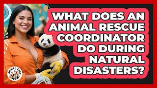 What Does An Animal Rescue Coordinator Do During Natural Disasters? - Animal Care Jobs