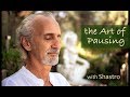 Capture de la vidéo 10. Meditation For All With Shastro: The Art Of Pausing