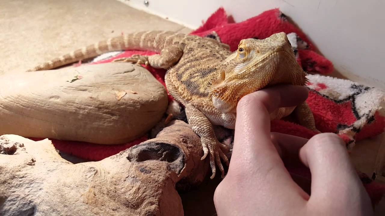  I'm Home so Here's an Update!! :)