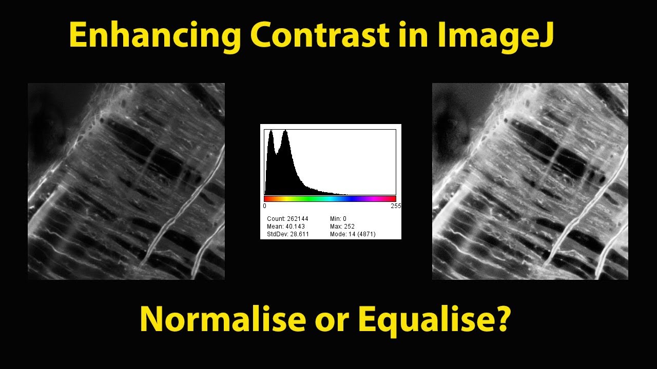 ImageJ Contrast Enhancement YouTube
