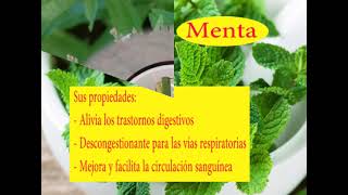 Propiedades Medicinales de las Hierbas screenshot 5