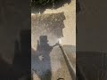 Pressure Washing Concrete Sidewalk #pressurewashing #exteriordesign #satisfying