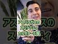 【春を食べよう！】アスパラガスのパスタ  カルボナーラ風【Uova Asparagi e Prosciutto】#shorts