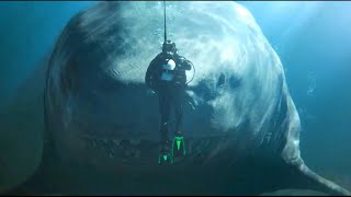 Diver Vs Shark- Meg 2 The Trench Scene