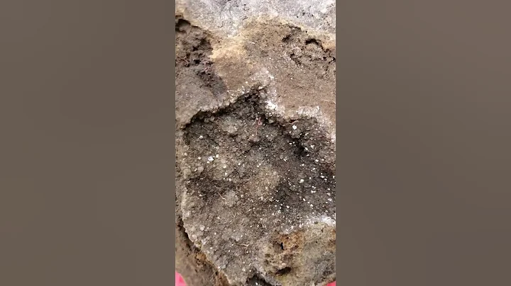 Druzy quartz from MVMM