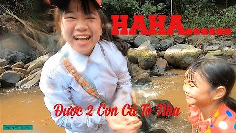 Ngăn Dòng Bắt Cá Suối ✓ Poòng Văn Quỳnh