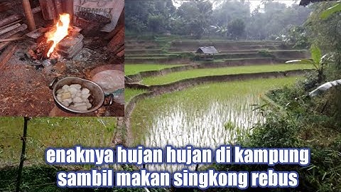 enaknya hujan hujan di kampung sambil makan singkong rebus"