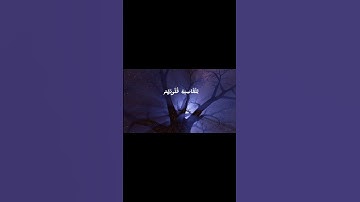 افمن شرح الله صدره للإسلام 💚سوره الزمر 💚الشيخ#ياسر_الدوسري