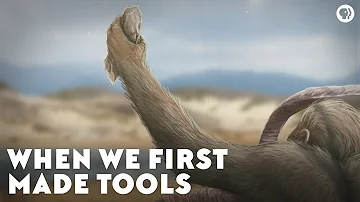 What tools did Homo erectus create?
