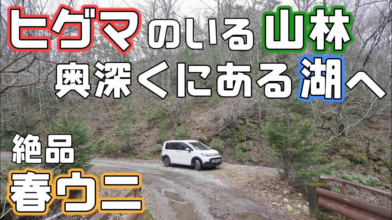林道を走り豊似湖へ【春ウニ】日高から十勝へフリードで行く車中泊旅