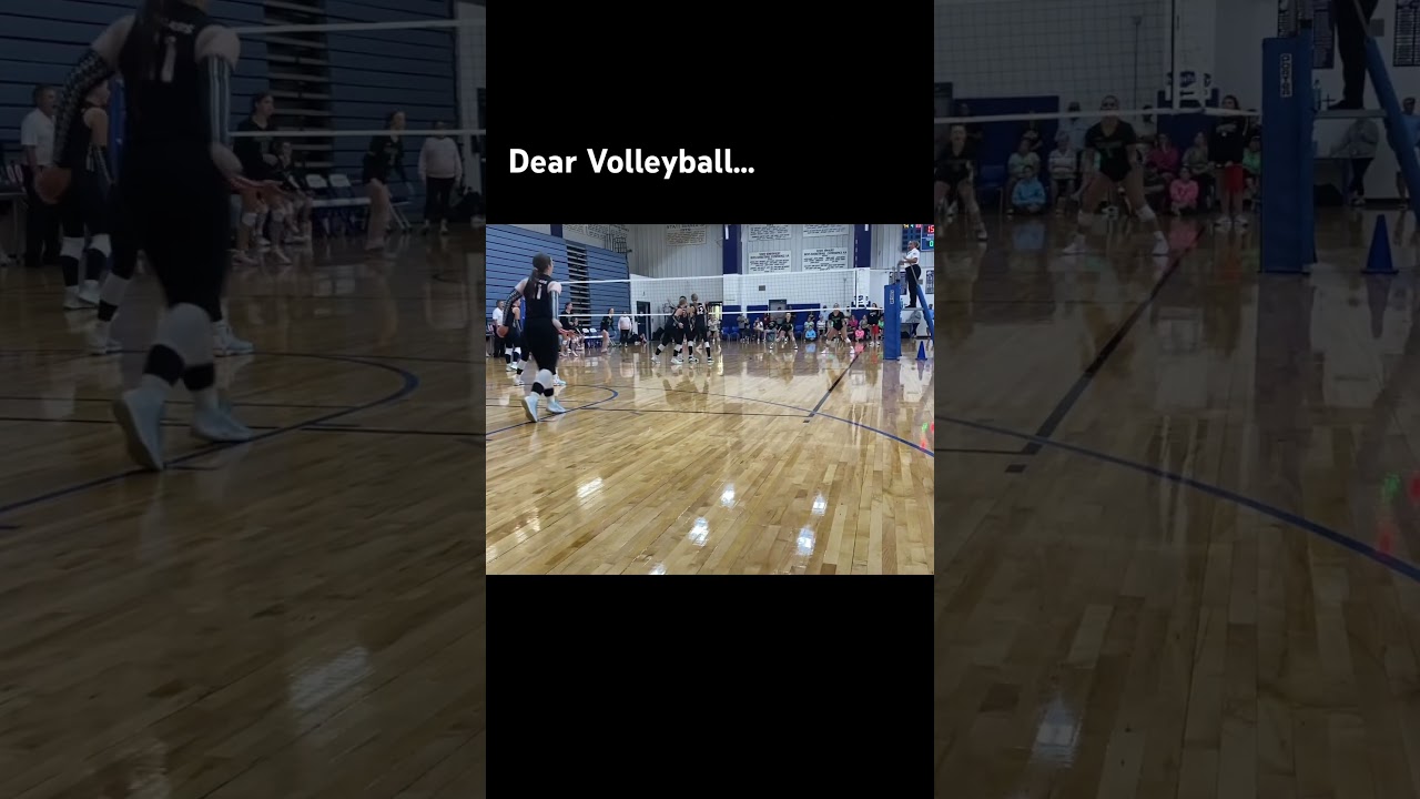 Dear Volleyball…