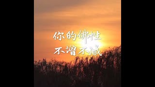 201704  你的佛性不增不减40414