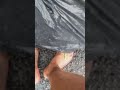 ACHADOS NO LIXO DI RIO DE JANEIRO